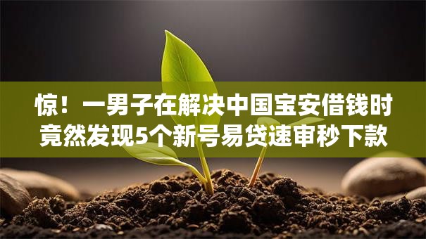 惊！一男子在解决中国宝安借钱时竟然发现5个新号易贷速审秒下款app，事后分享了出来