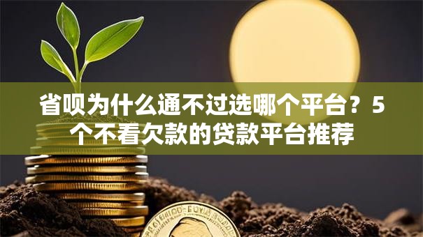 省呗为什么通不过选哪个平台？5个不看欠款的贷款平台推荐