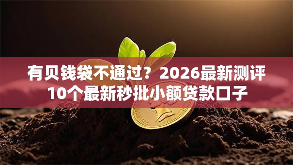 有贝钱袋不通过?2026最新测评10个最新秒批小额贷款口子 有贝钱袋不通过?2026最新测评10个最新秒批小额贷款口子
