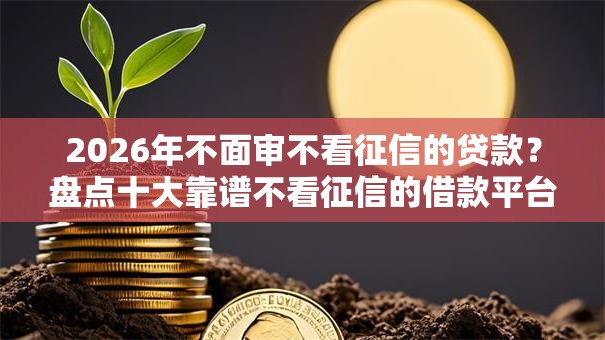 2026年不面审不看征信的贷款？盘点十大靠谱不看征信的借款平台百分百通过