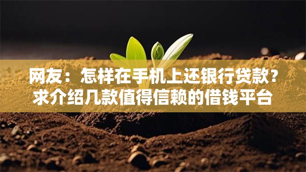 网友：怎样在手机上还银行贷款？求介绍几款值得信赖的借钱平台