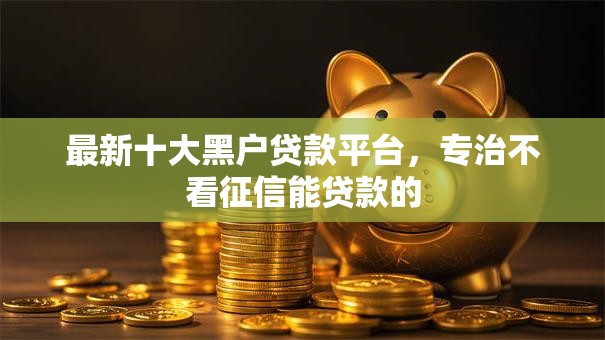 最新十大黑户贷款平台，专治不看征信能贷款的
