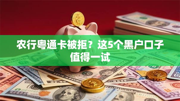 农行粤通卡被拒？这5个黑户口子值得一试