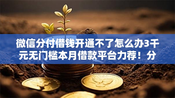 微信分付借钱开通不了怎么办3千元无门槛本月借款平台力荐!分享小额网贷口子3千元无门槛借款 微信分付借钱开通不了怎么办3千元无门槛本月借款平台力荐!分享小额网贷口子3千元无门槛借款