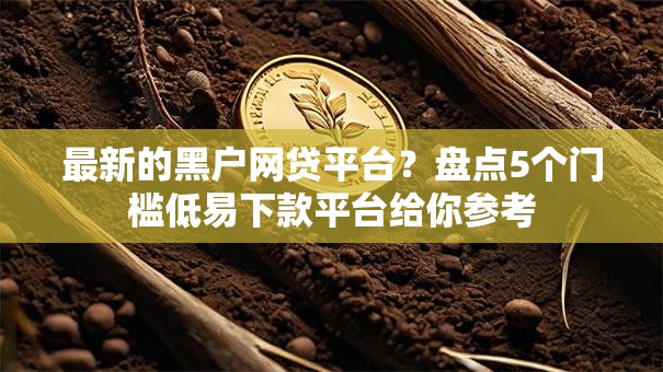 最新的黑户网贷平台？盘点5个门槛低易下款平台给你参考