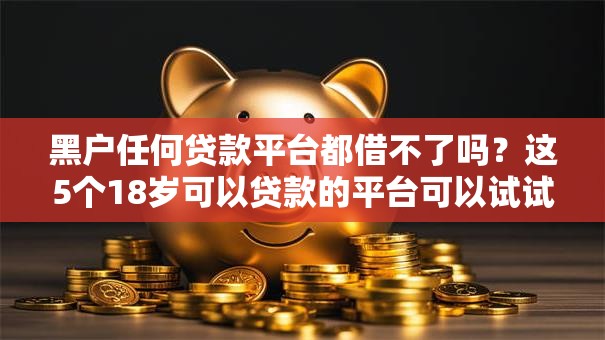 黑户任何贷款平台都借不了吗？这5个18岁可以贷款的平台可以试试
