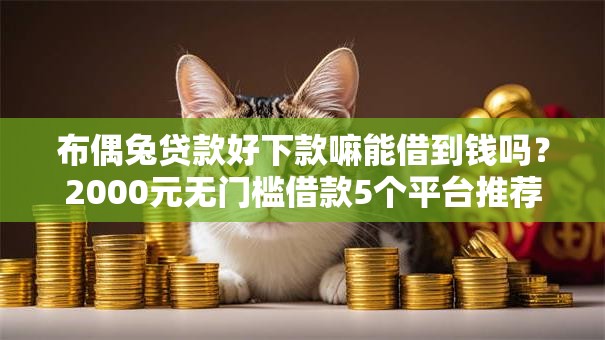 布偶兔贷款好下款嘛能借到钱吗？2000元无门槛借款5个平台推荐