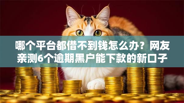 哪个平台都借不到钱怎么办？网友亲测6个逾期黑户能下款的新口子盘点
