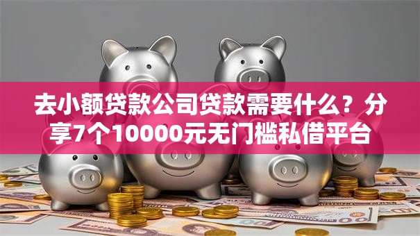 去小额贷款公司贷款需要什么?分享7个10000元无门槛私借平台 去小额贷款公司贷款需要什么?分享7个10000元无门槛私借平台