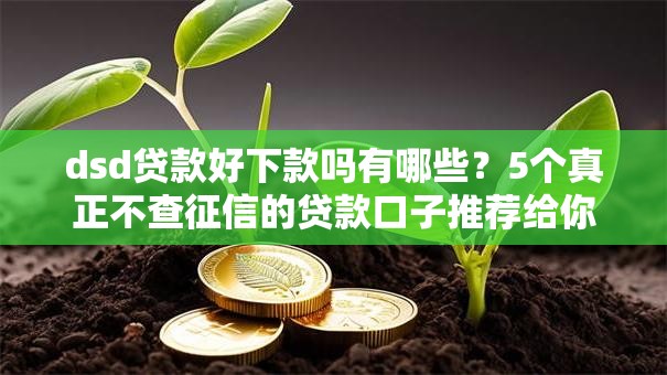dsd贷款好下款吗有哪些？5个真正不查征信的贷款口子推荐给你