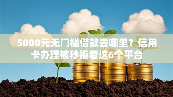 5000元无门槛借款去哪里?信用卡办理被秒拒看这6个平台 5000元无门槛借款去哪里?信用卡办理被秒拒看这6个平台
