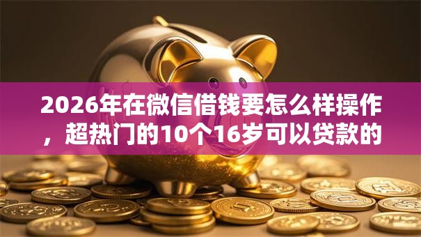 2026年在微信借钱要怎么样操作，超热门的10个16岁可以贷款的平台推荐