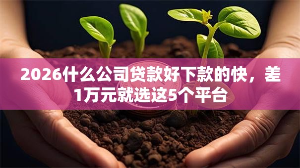 2026什么公司贷款好下款的快，差1万元就选这5个平台