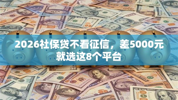 2026社保贷不看征信，差5000元就选这8个平台