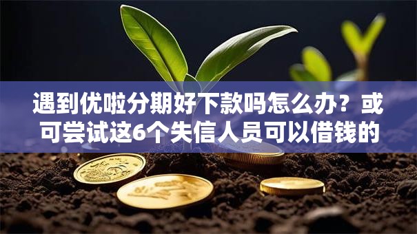 遇到优啦分期好下款吗怎么办？或可尝试这6个失信人员可以借钱的网贷口子