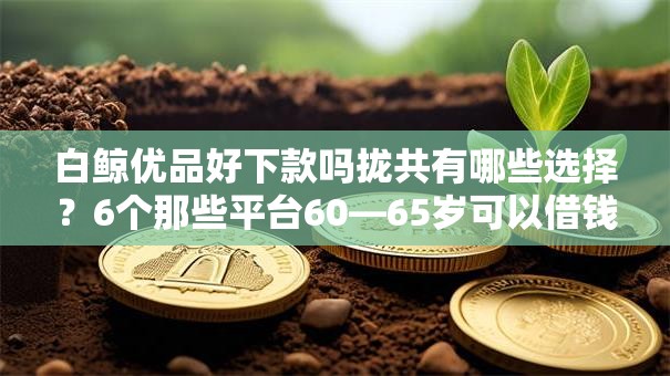 白鲸优品好下款吗拢共有哪些选择?6个那些平台60—65岁可以借钱详解 白鲸优品好下款吗拢共有哪些选择?6个那些平台60—65岁可以借钱详解