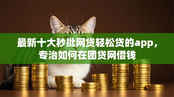 最新十大秒批网贷轻松贷的app，专治如何在团贷网借钱