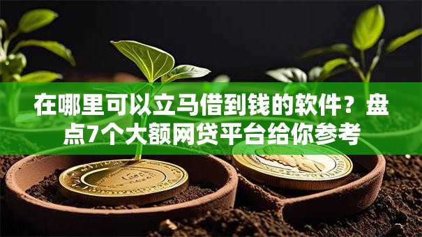 在哪里可以立马借到钱的软件？盘点7个大额网贷平台给你参考