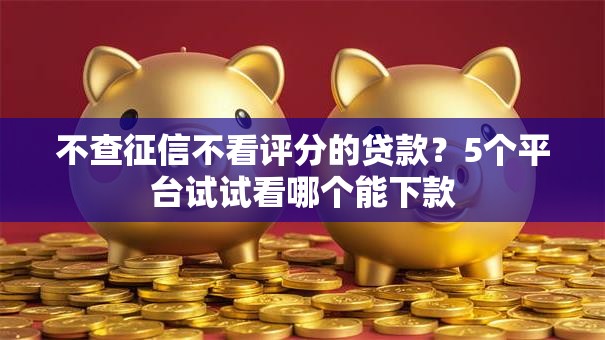 不查征信不看评分的贷款？5个平台试试看哪个能下款