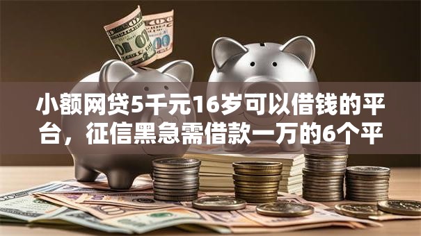 小额网贷5千元16岁可以借钱的平台，征信黑急需借款一万的6个平台介绍