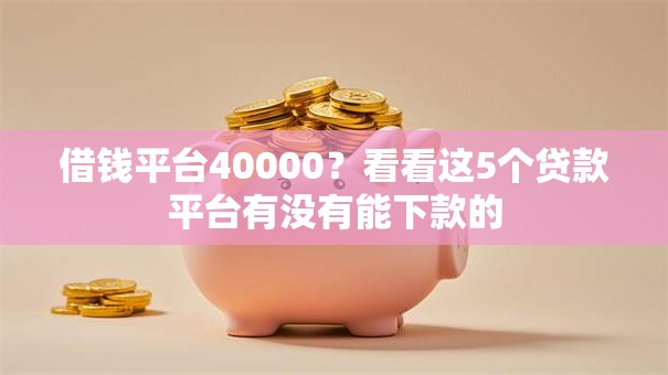 借钱平台40000？看看这5个贷款平台有没有能下款的