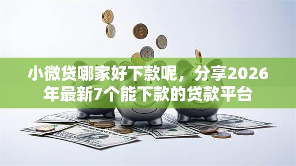 小微贷哪家好下款呢，分享2026年最新7个能下款的贷款平台