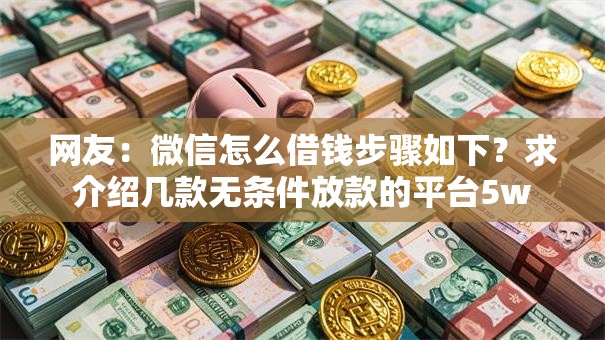 网友：微信怎么借钱步骤如下？求介绍几款无条件放款的平台5w