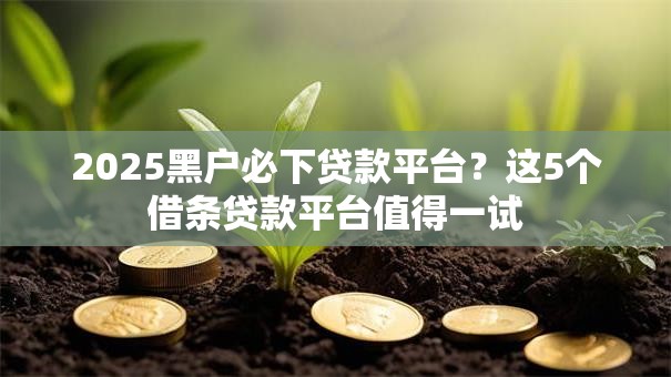 2025黑户必下贷款平台？这5个借条贷款平台值得一试