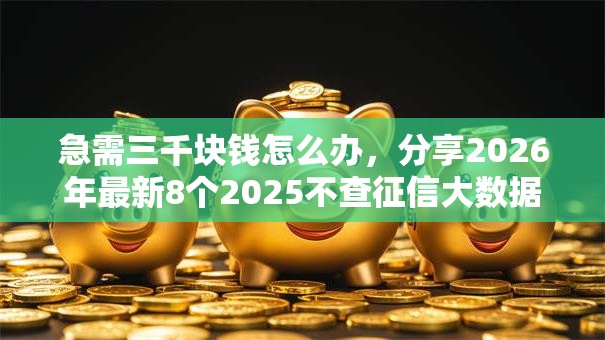 急需三千块钱怎么办，分享2026年最新8个2025不查征信大数据百分百下款的平台