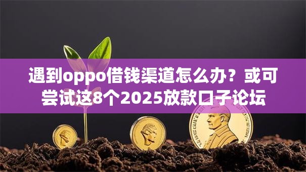 遇到oppo借钱渠道怎么办？或可尝试这8个2025放款口子论坛
