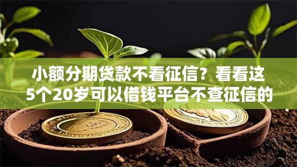 小额分期贷款不看征信？看看这5个20岁可以借钱平台不查征信的平台怎么样