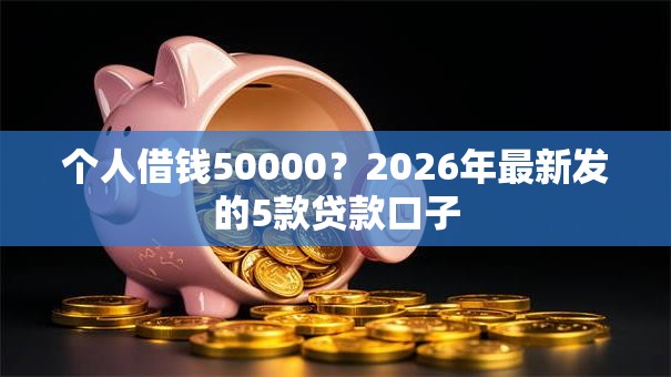 个人借钱50000？2026年最新发的5款贷款口子