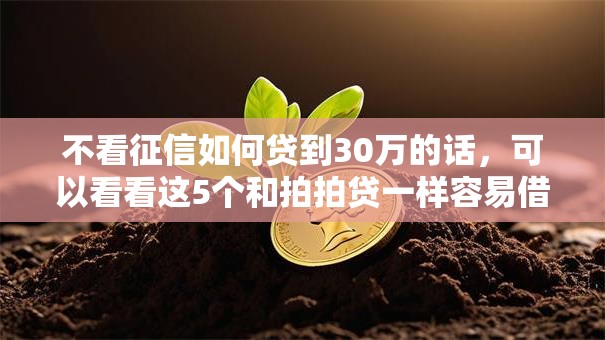 不看征信如何贷到30万的话，可以看看这5个和拍拍贷一样容易借钱的平台