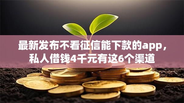 最新发布不看征信能下款的app,私人借钱4千元有这6个渠道 最新发布不看征信能下款的app,私人借钱4千元有这6个渠道