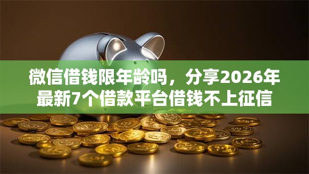 微信借钱限年龄吗，分享2026年最新7个借款平台借钱不上征信