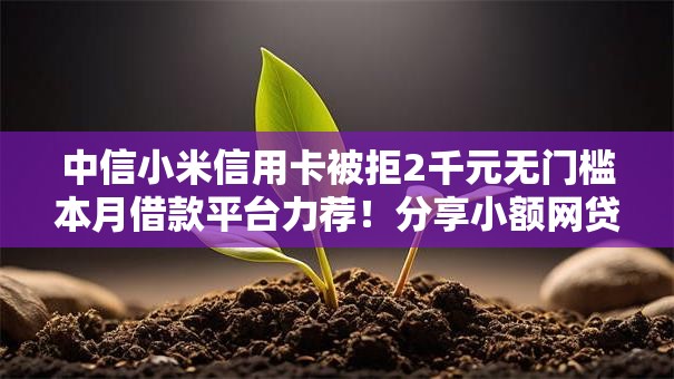 中信小米信用卡被拒2千元无门槛本月借款平台力荐！分享小额网贷口子2千元无门槛借款