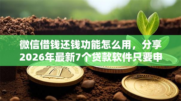 微信借钱还钱功能怎么用，分享2026年最新7个贷款软件只要申请就通过