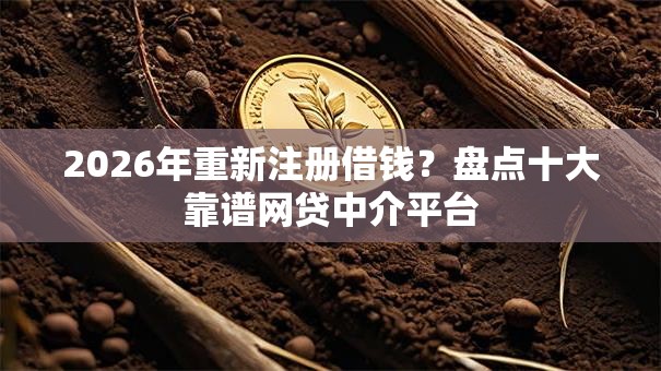 2026年重新注册借钱？盘点十大靠谱网贷中介平台