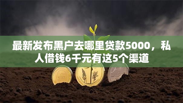 最新发布黑户去哪里贷款5000，私人借钱6千元有这5个渠道