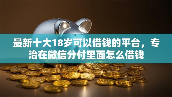 最新十大18岁可以借钱的平台，专治在微信分付里面怎么借钱