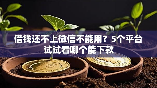 借钱还不上微信不能用？5个平台试试看哪个能下款