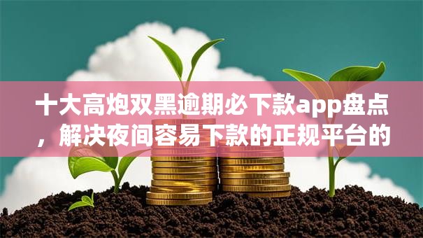 十大高炮双黑逾期必下款app盘点，解决夜间容易下款的正规平台的问题