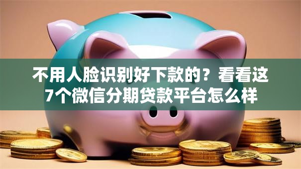 不用人脸识别好下款的？看看这7个微信分期贷款平台怎么样