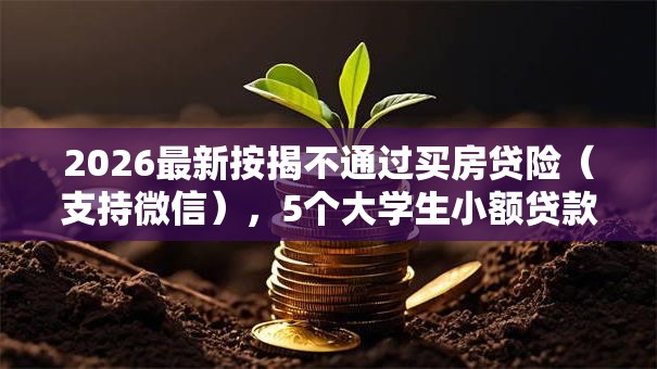 2026最新按揭不通过买房贷险(支持微信),5个大学生小额贷款平台无私分享 2026最新按揭不通过买房贷险(支持微信),5个大学生小额贷款平台无私分享