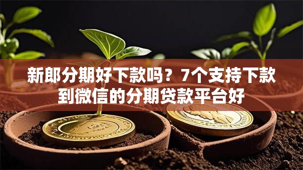 新郎分期好下款吗?7个支持下款到微信的分期贷款平台好 新郎分期好下款吗?7个支持下款到微信的分期贷款平台好