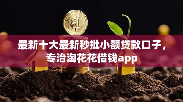 最新十大最新秒批小额贷款口子，专治淘花花借钱app