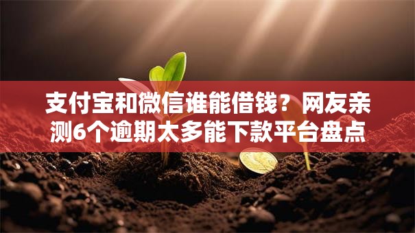 支付宝和微信谁能借钱？网友亲测6个逾期太多能下款平台盘点