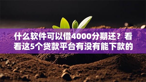 什么软件可以借4000分期还?看看这5个贷款平台有没有能下款的 什么软件可以借4000分期还?看看这5个贷款平台有没有能下款的