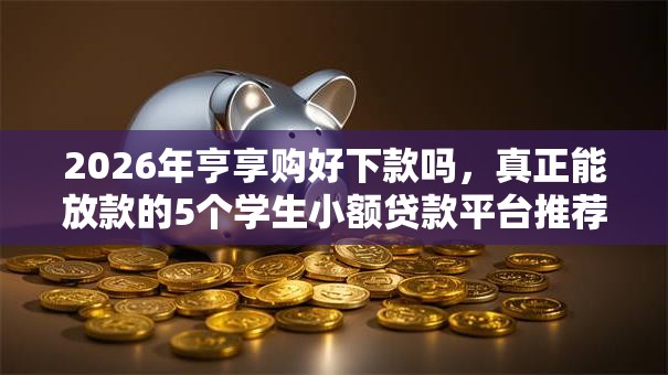 2026年亨享购好下款吗，真正能放款的5个学生小额贷款平台推荐