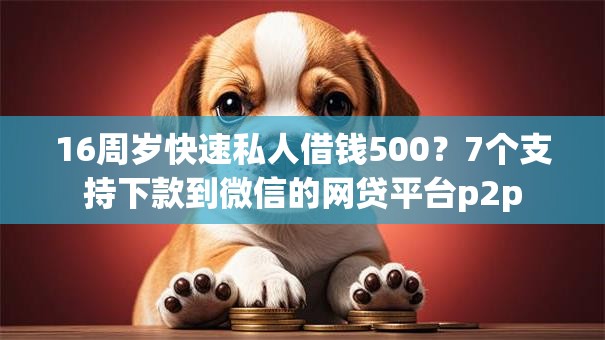 16周岁快速私人借钱500?7个支持下款到微信的网贷平台p2p 16周岁快速私人借钱500?7个支持下款到微信的网贷平台p2p